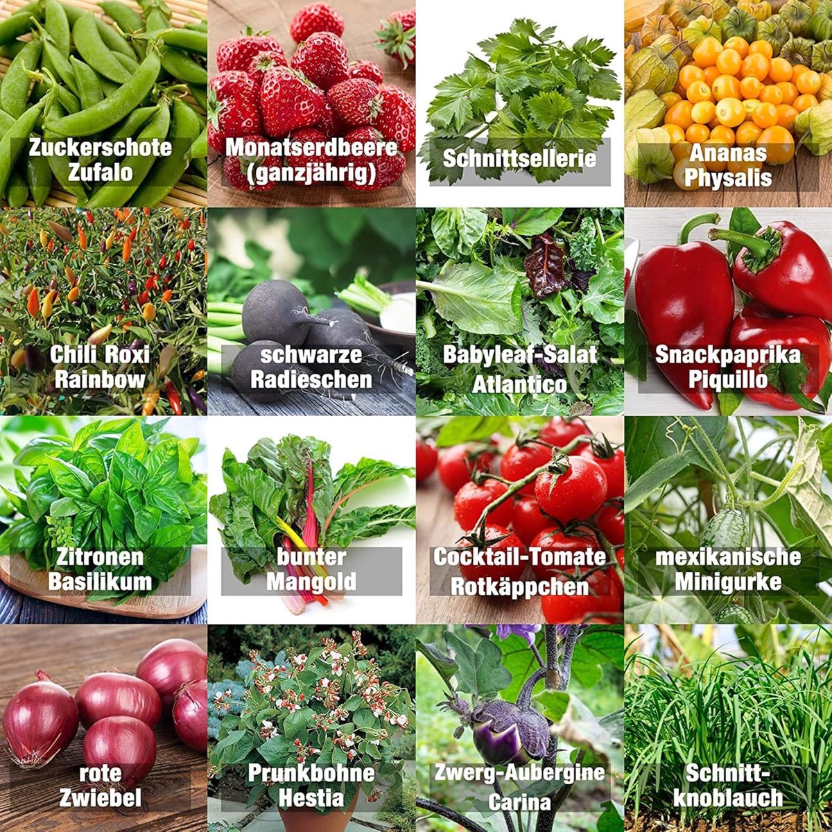 Groentezadenset Indoor-Mix - 16 soorten premium groentezaden - zaadvast - ideale keuze voor thuis kweken - ShopVlot