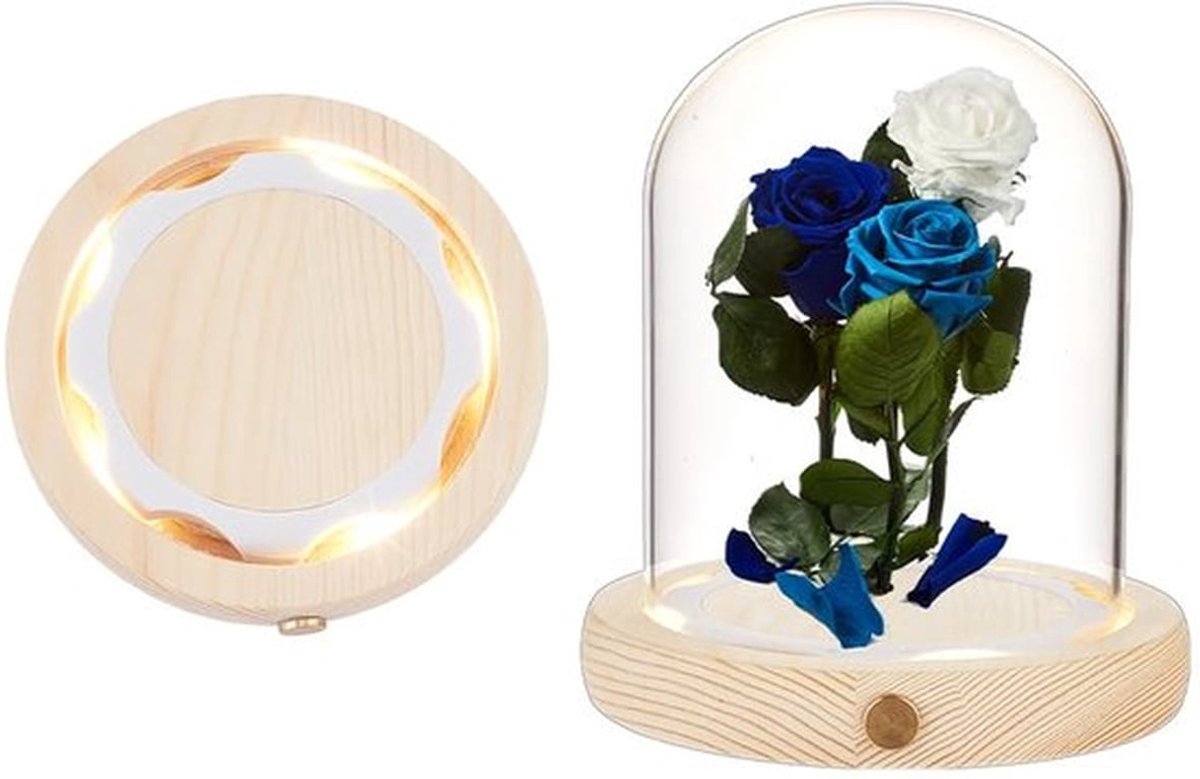 Glazen bel met LED-lichtsokkel, zeer transparante displaykoepel glazen koepel afdekking voor permanente bloemen voor tafelopzetstukken planten stenen monsters decoraties kunsthandwerk, 11,5 x 13