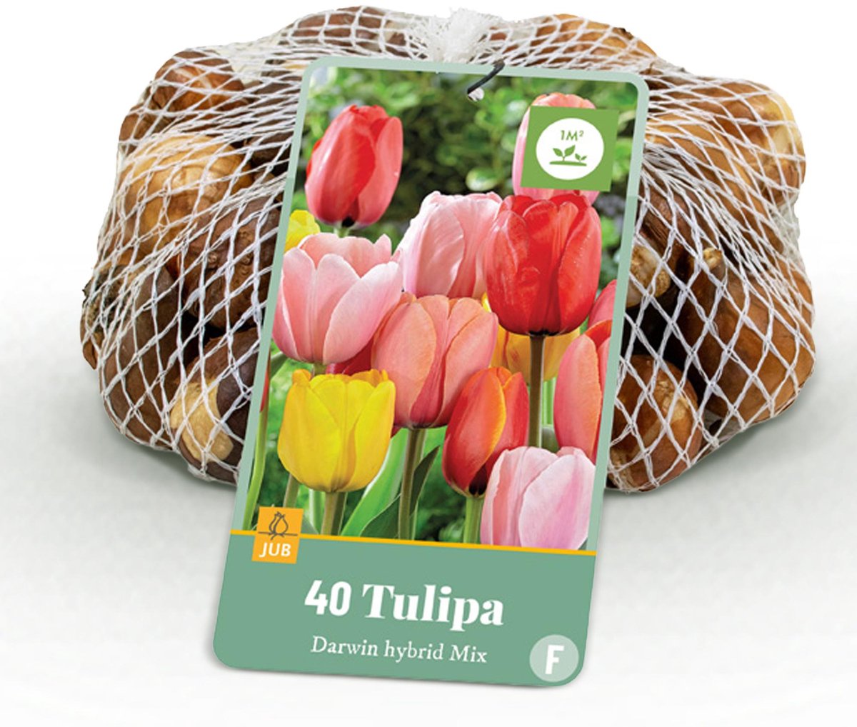 Bloembollen - Tulp Darwin Hybride Mix - Diversen Kleuren - 40 stuks - Bolmaat 10/12