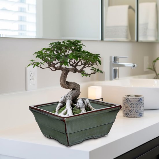Bonsai potten set van 2 - keramisch - met drainagegaten - geschikt voor Japanse bonsai - SnelShoppen — afbeelding 5