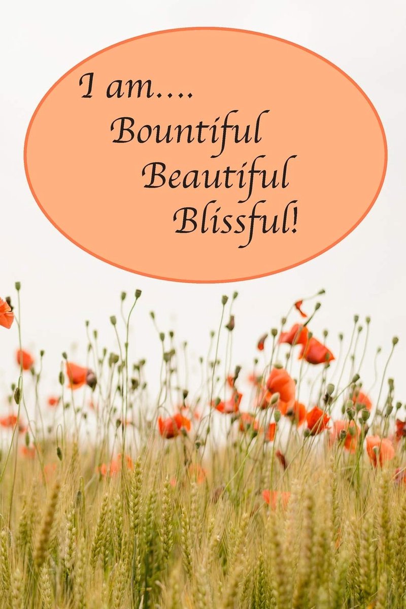 Blissful, Beautiful: A Journal to Practice Self-Acceptance: Pretty Poppies