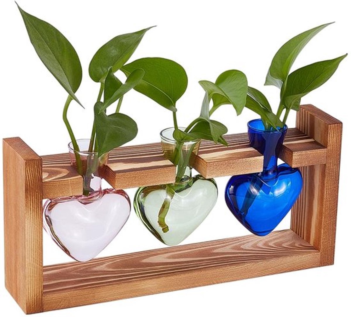 Virtubuy - Plant Kweekstations - Hydrocultuur Vaas - Design - Houten