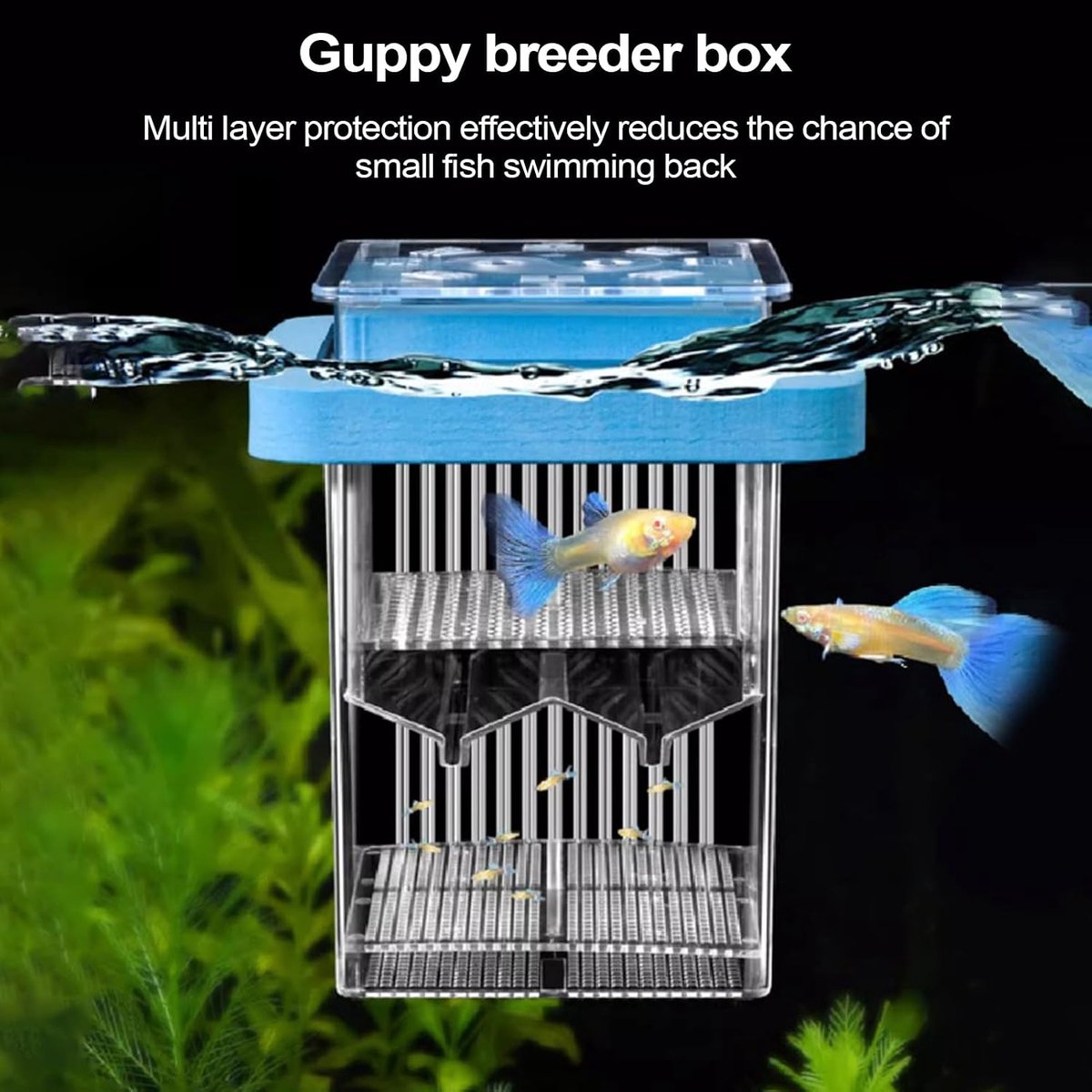 Kweekdoos Aquarium - Fokkerij Isolatie - Waterleven Beschermen - Drijvend Helder Frame - 9.5 x 9.5 x 9.5 cm - Blauw
