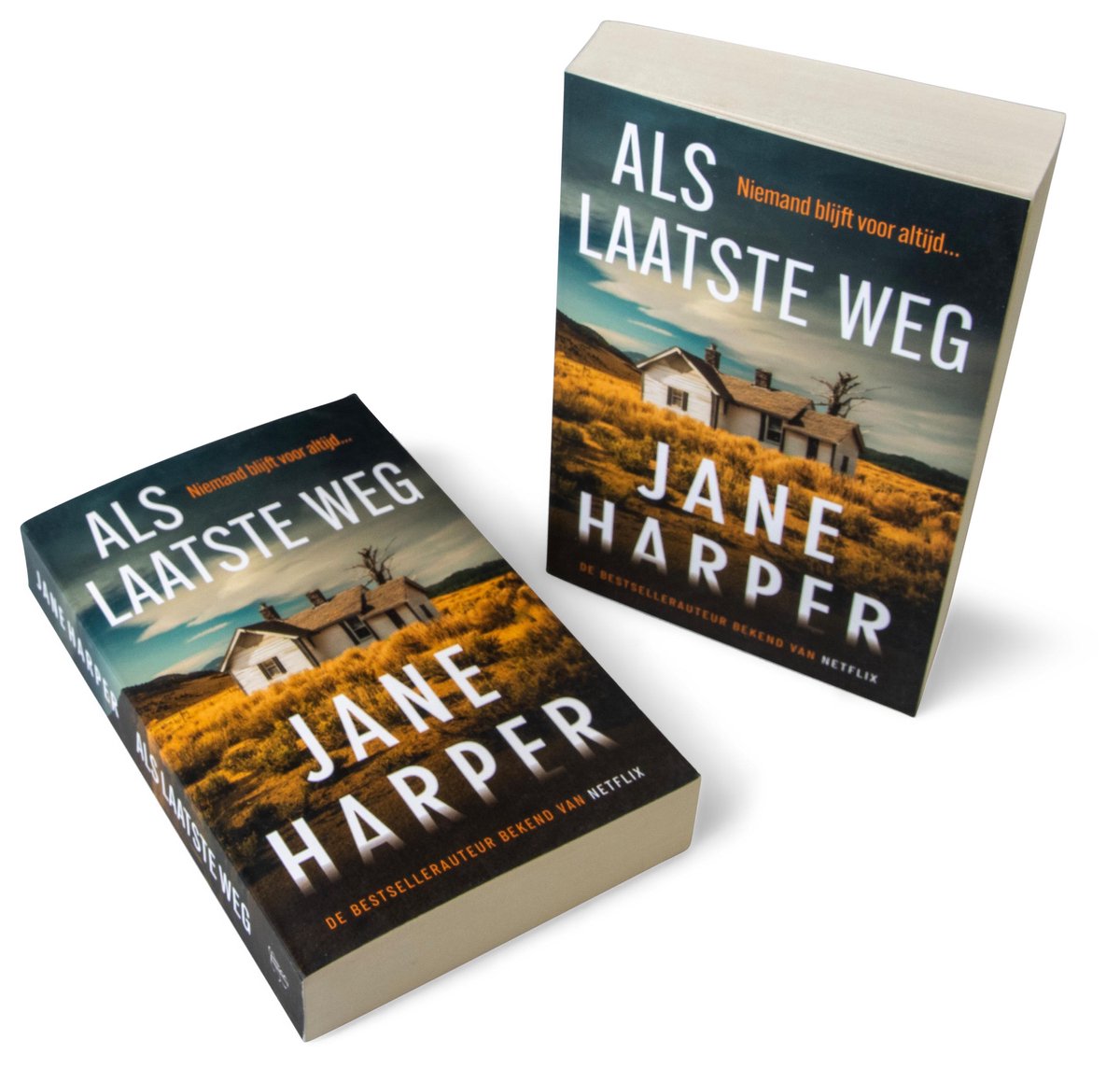 Als laatste weg – foto 2