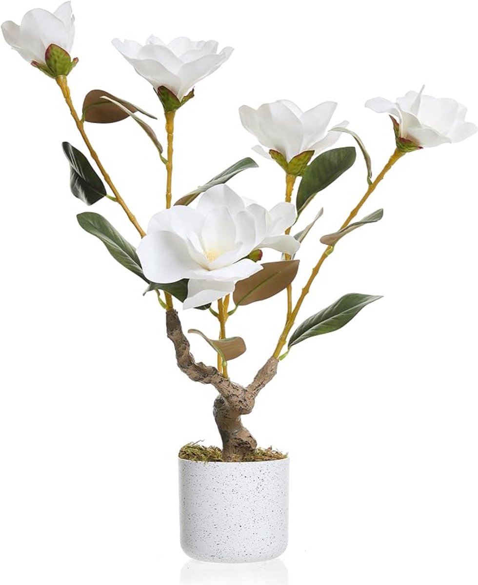 HOERFURIY - Kunstmagnolia 60cm PEVA - Witte Bloemen - Woonkamer