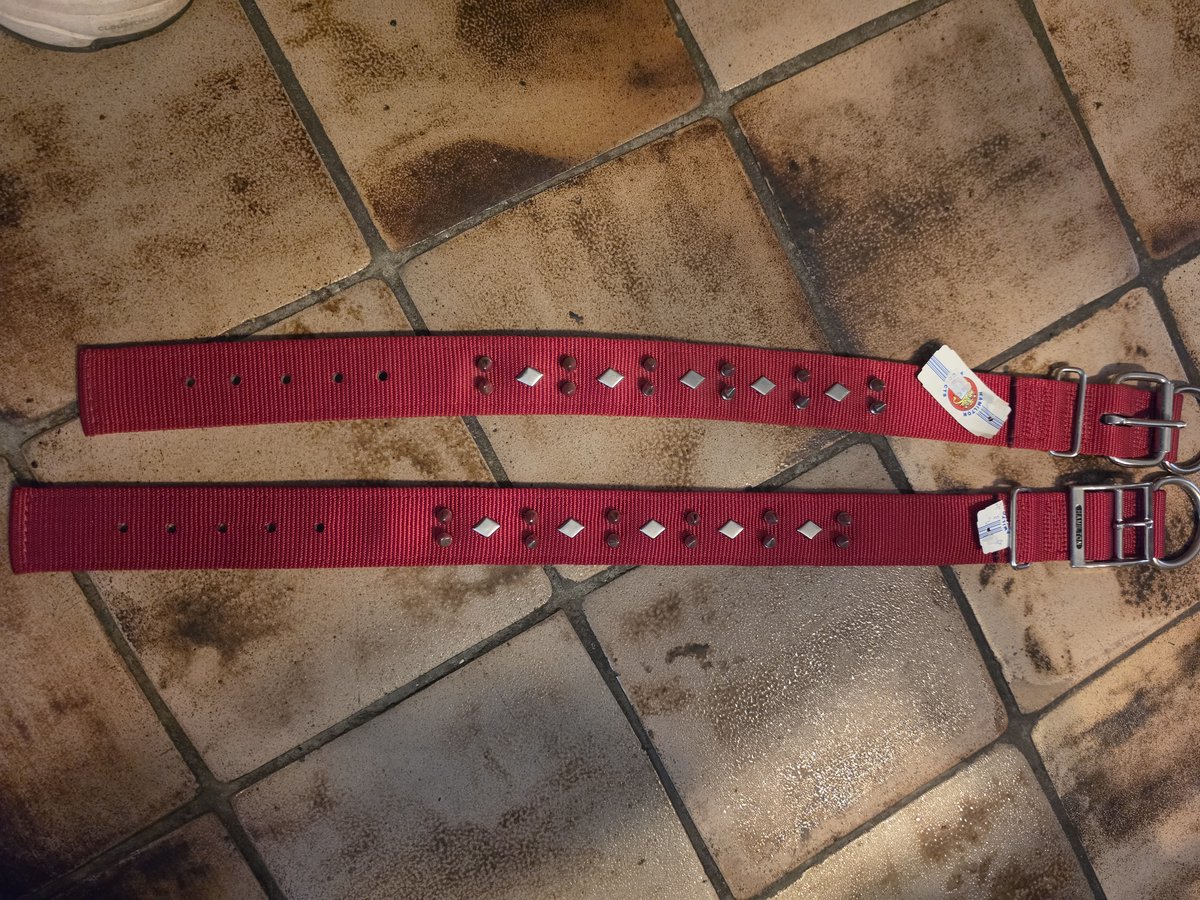 hamilton nijlon Halsband spiked bulldog 66 cm L. 4.5 cm br 0.50cm dikte