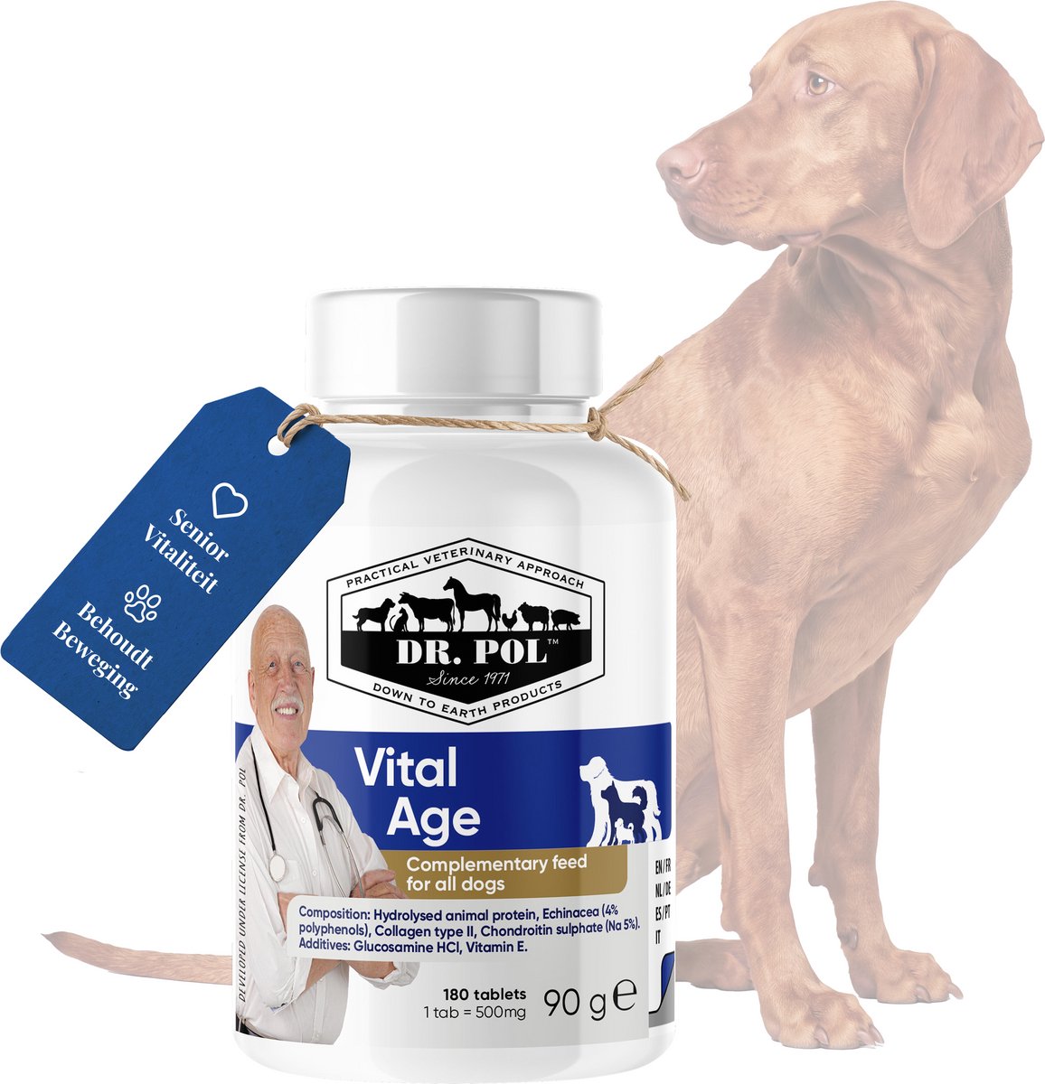 Dr. Pol Vital Age - Voedingssupplement voor Hond - Senior Vitaliteit - Met Biaminoée® en glucosamine en chondroïtine - 90 g, 180 tabletten