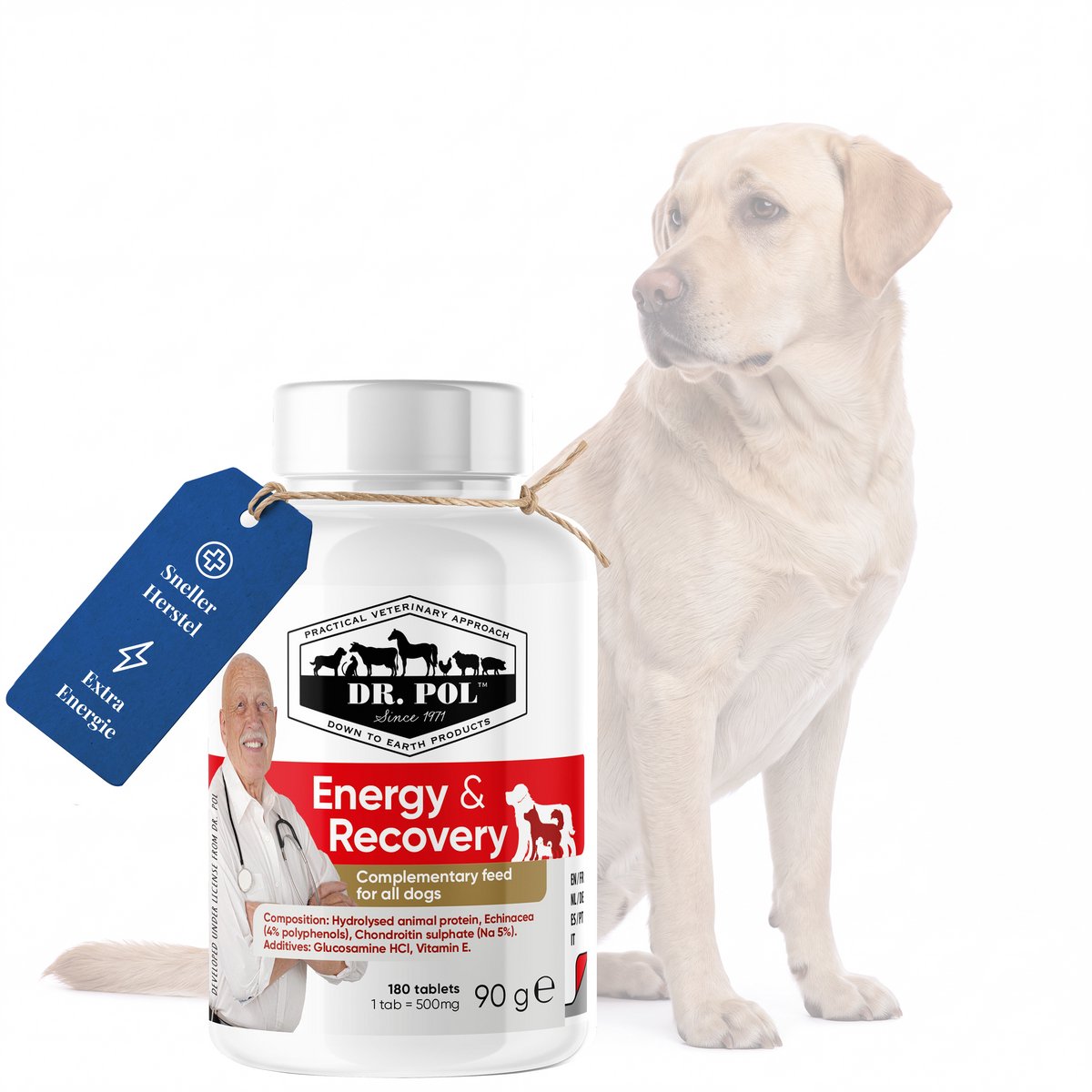 Dr. Pol Energy & Recovery - Voedingssupplement voor Hond - Energie & Herstel - Met Biaminoée® en echinacea en vitamine E - 90 g, 180 tabletten