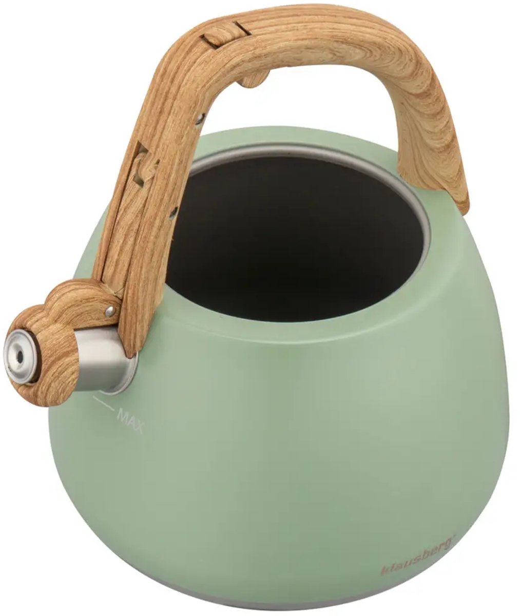 Klausberg 9039 - Fluitketel met fluit - 2.5 liter - RVS - groen