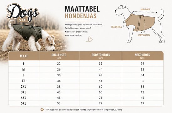 Maattabel voor hondenjassen met maten S tot 5XL. Hond met groene jas.