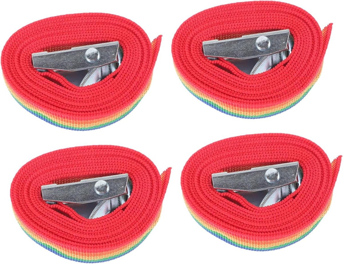 Spanriemen Met Ratelsluiting - Sjorbanden Bagage - Vastzetten van lading - Stevige Zinklegering - 150 x 2.5 cm - Multicolor