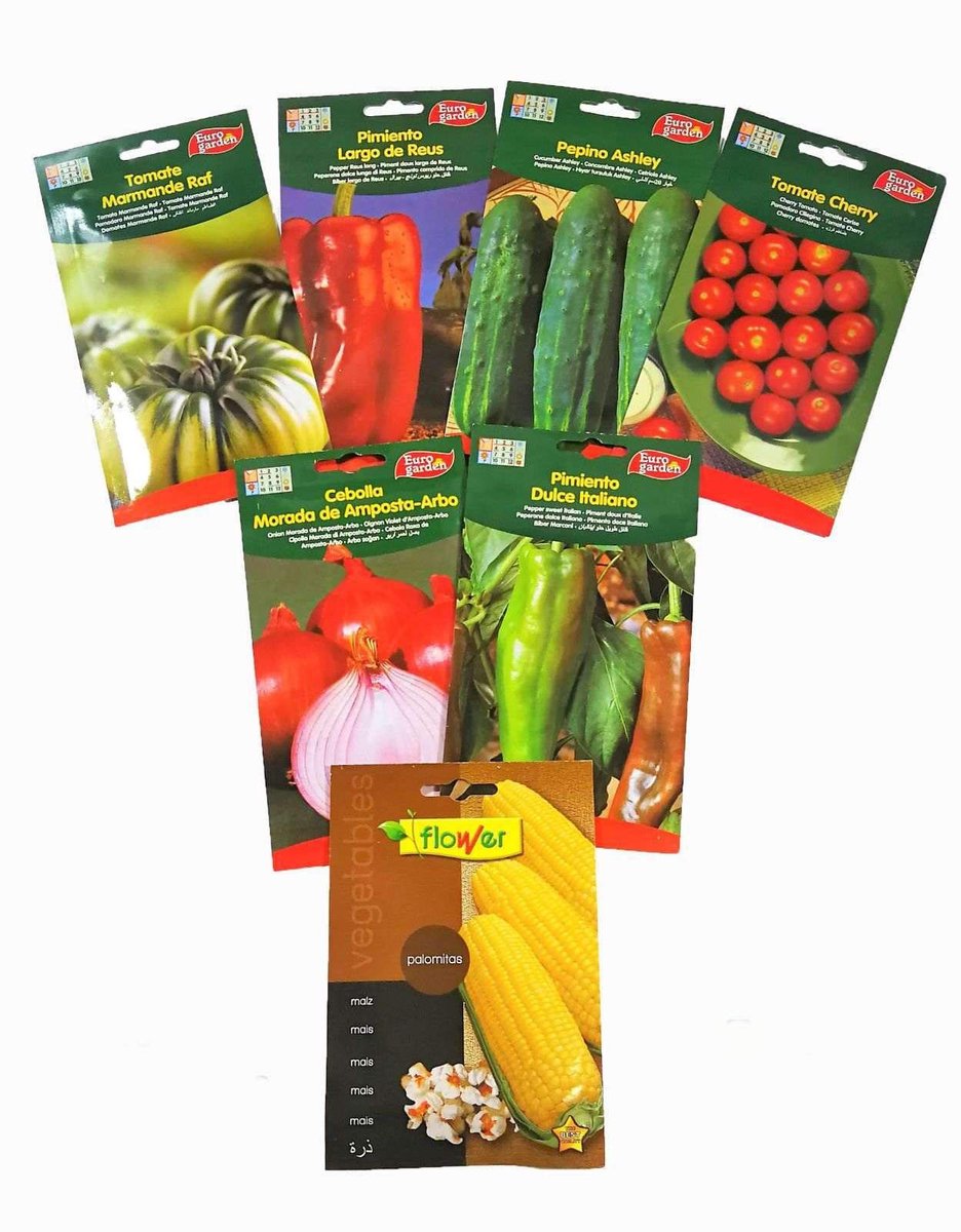 Solidchoice - Groentekaartjes Set met 6 Enveloppen en Cadeau