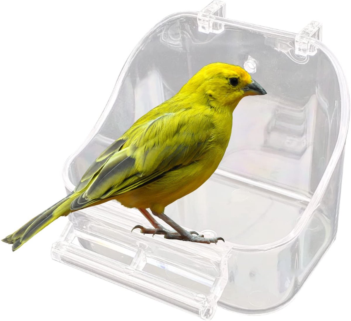 Solidchoice - Multifunctionele Badkamer voor Vogels met Speelruimte
