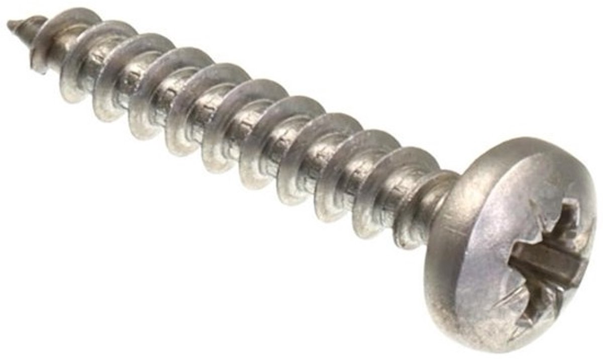 Spaanplaatschroeven - Houtschroeven Schroeven - Houtverbindingen Maken - Roestvrij Staal V2A - 5 x 30 mm - 250 stuks - Zilver