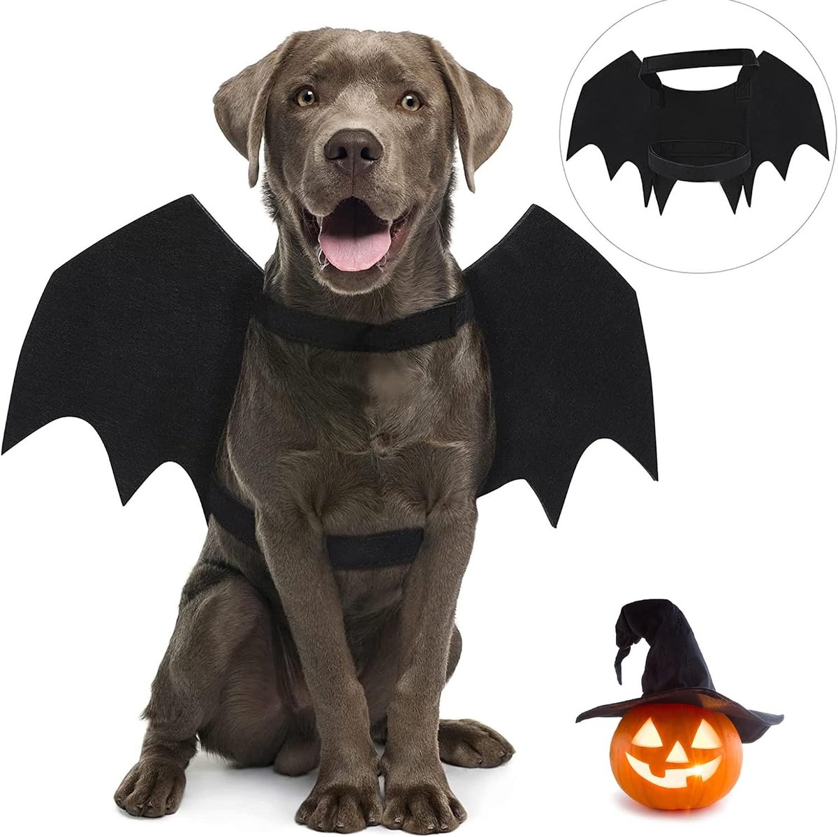 Halloween Kostuum voor Honden, Bat Wings voor Grote Honden, Dierenverkleedkleding voor Feestjes en Cosplay Decoratie
