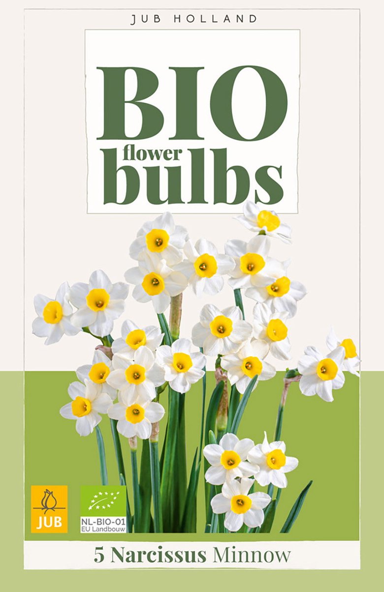 Narcissus minnow bio bloembol JUB 5 stuks