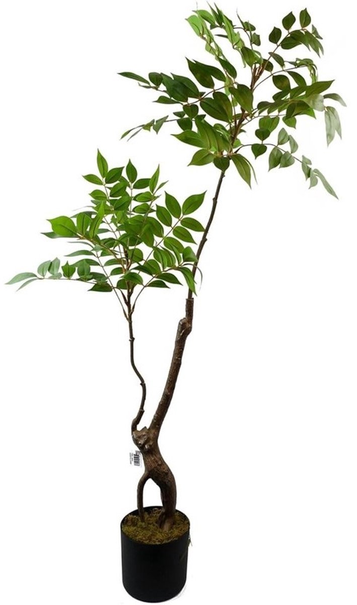 Kunstmatige Toona Sinensis Boom - Nep Plant Evergreen - Woondecoratie - Onderhoudsvrij - 110 cm hoog - Groen