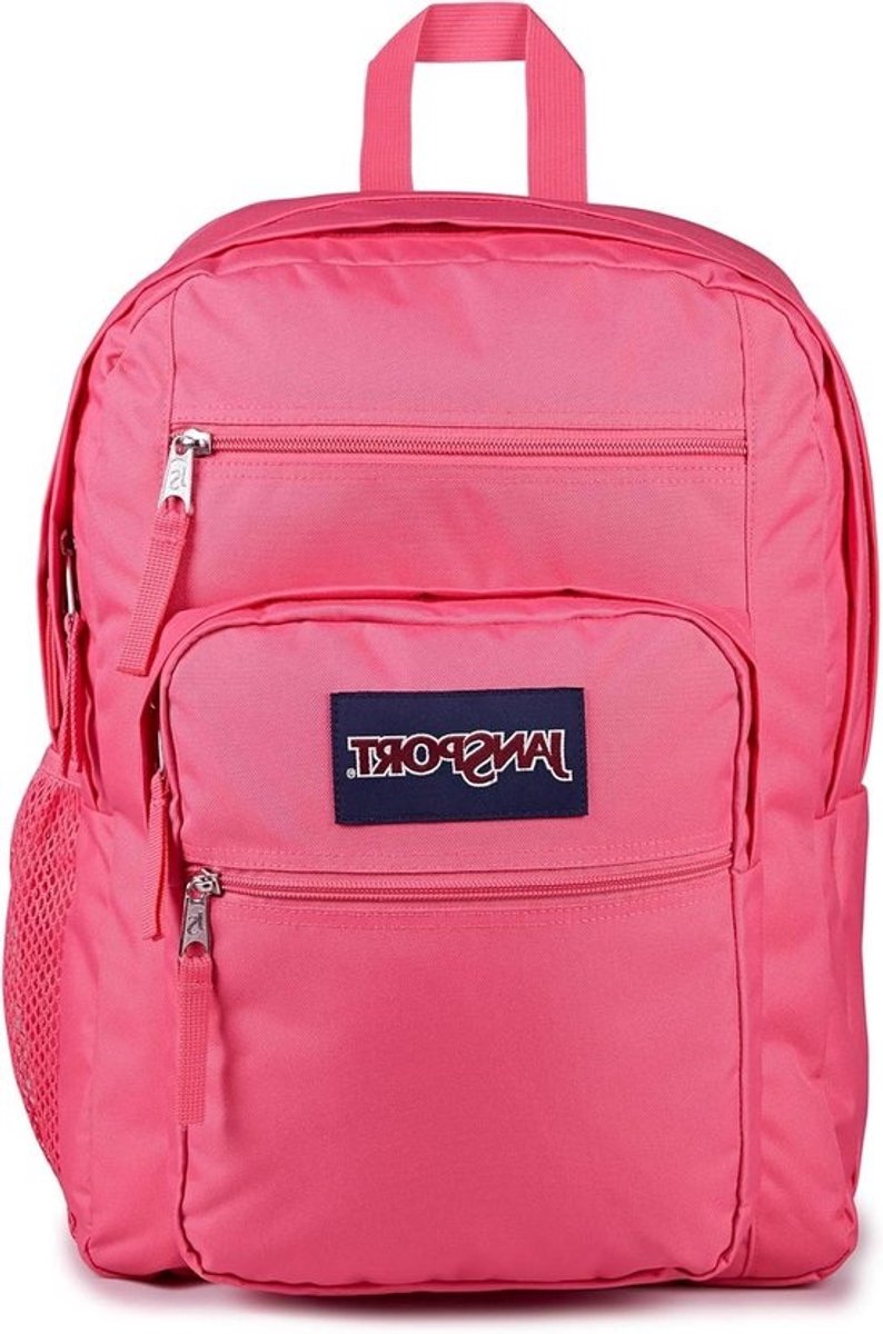 Laptoprugzak - Computertas Boekentas - Dagelijks Gebruik - Gewatteerde Laptophoes - 15 inch - Roze