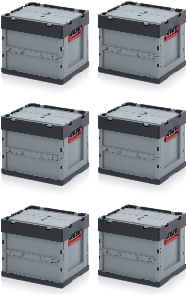 Vouwdozen Set van 6 - 40 x 30 x 32 cm - Eenvoudig en Ruimtebesparend
