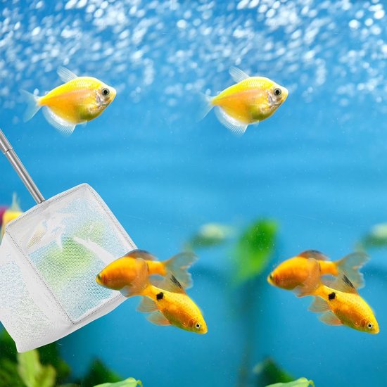 Schepnet voor aquarium - 2 stuks, ideaal voor het vangen van kleine vissen en garnalen, met roestvrijstalen telescoopstangen en handgreep voor eenvoudig reinigen van het aquarium — afbeelding 4