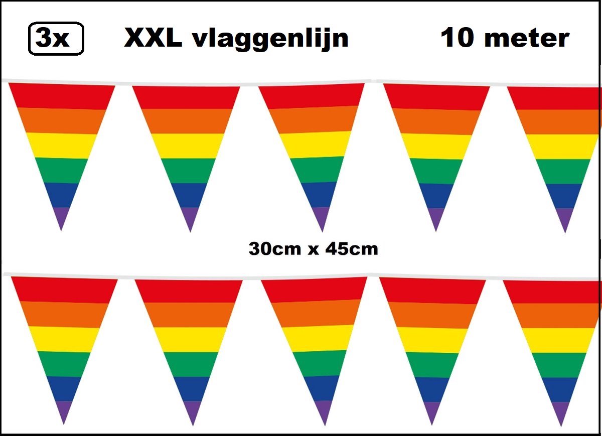 3 stuks XXL Vlaggenlijn regenboog 30cm x 45cm - Giga vlaglijn themafeest party festival
