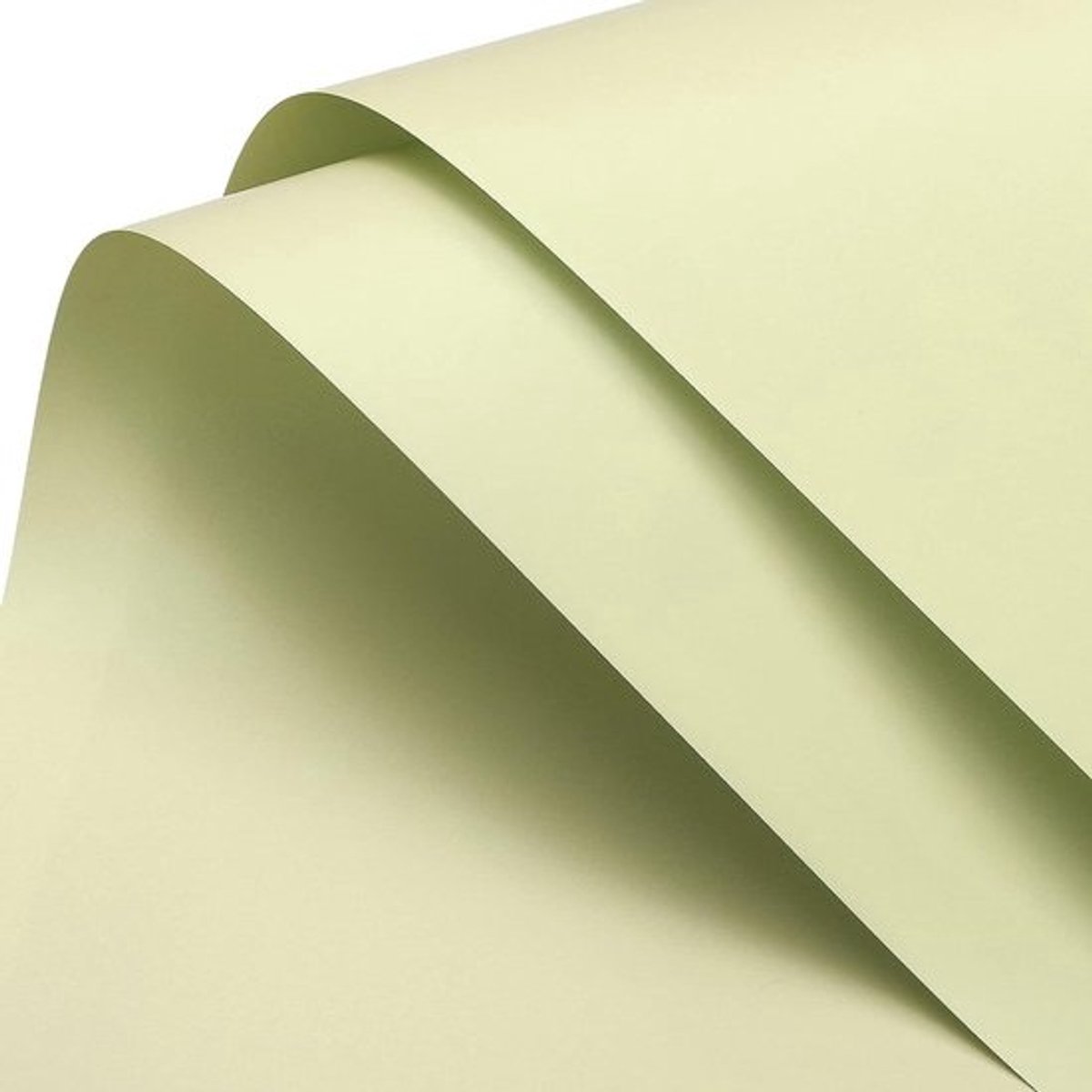 Bloem Inpakpapier - Boeket Verpakking - Bloemen Presenteren - Waterdicht Paremoer Papier - 60 x 60 cm - Melk Groen