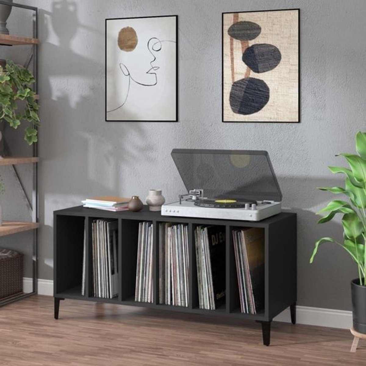 Grammofoonplaatkast - Vinyl opberger - Muziekcollectie organiseren - Grote opbergruimte - 100 x 38 x 48 cm - Zwart