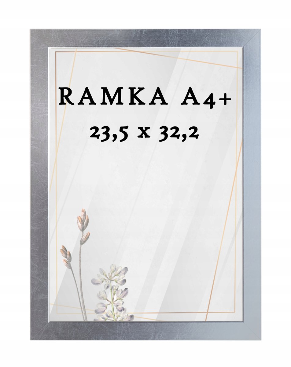 Zilveren A4+ Fotolijst 23,5x32,2 cm DAISY - Diploma/Certificaat