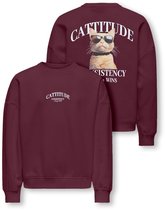 KIDS ONLY - KOGBILA L/S OVZ PRINT O-NECK SWT NOOS Meisjes Trui