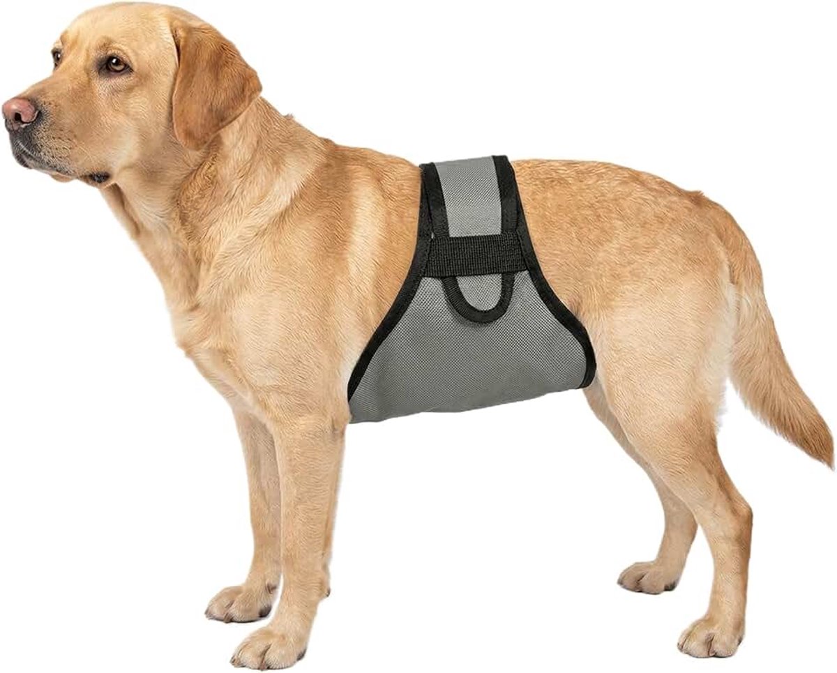 Luiers voor reuen, wasbare buikband voor reuen met slanke comfortabele haak- en lusriem, plaswraps voor honden bij incontinentie of opwindend urineren en trainen (grijs, maat XL)