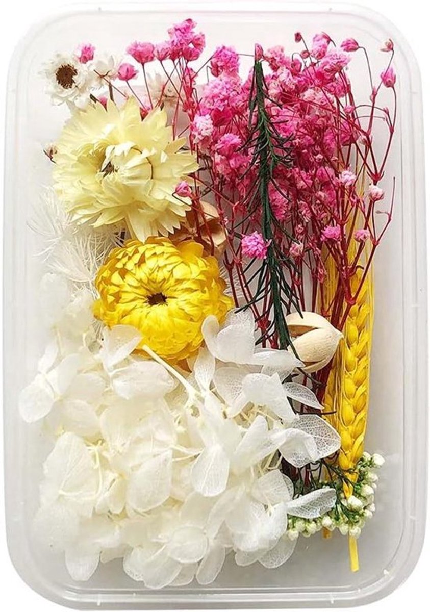 Gedroogde bloemen voor aromatherapie, halsketting en decoratie.