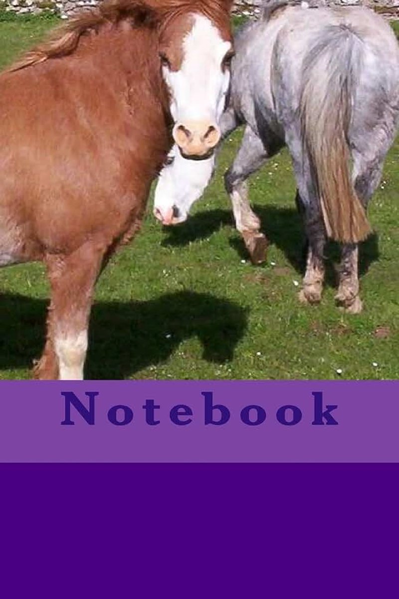 Welsh Mountain Section A pony notebook