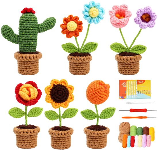 Een set van gehaakte bloemen en een cactus in potten, samen met alle benodigde materialen voor het haken.