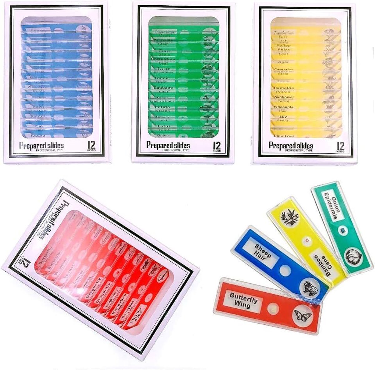 48 x Kunststof microscoop objectglaasjes voor kinderen met dieren, insecten, planten, bloemen, groenten voor biologisch onderwijs