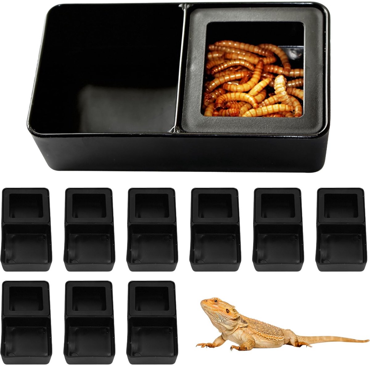 10 Stks Reptiel Feeder, Amfibieën Reptielen Anti-escape Feeder Worm Voederbassin Reptiel Voerbak Dubbele Feeder voor Schildpad Gecko Slangen Hagedis Spider