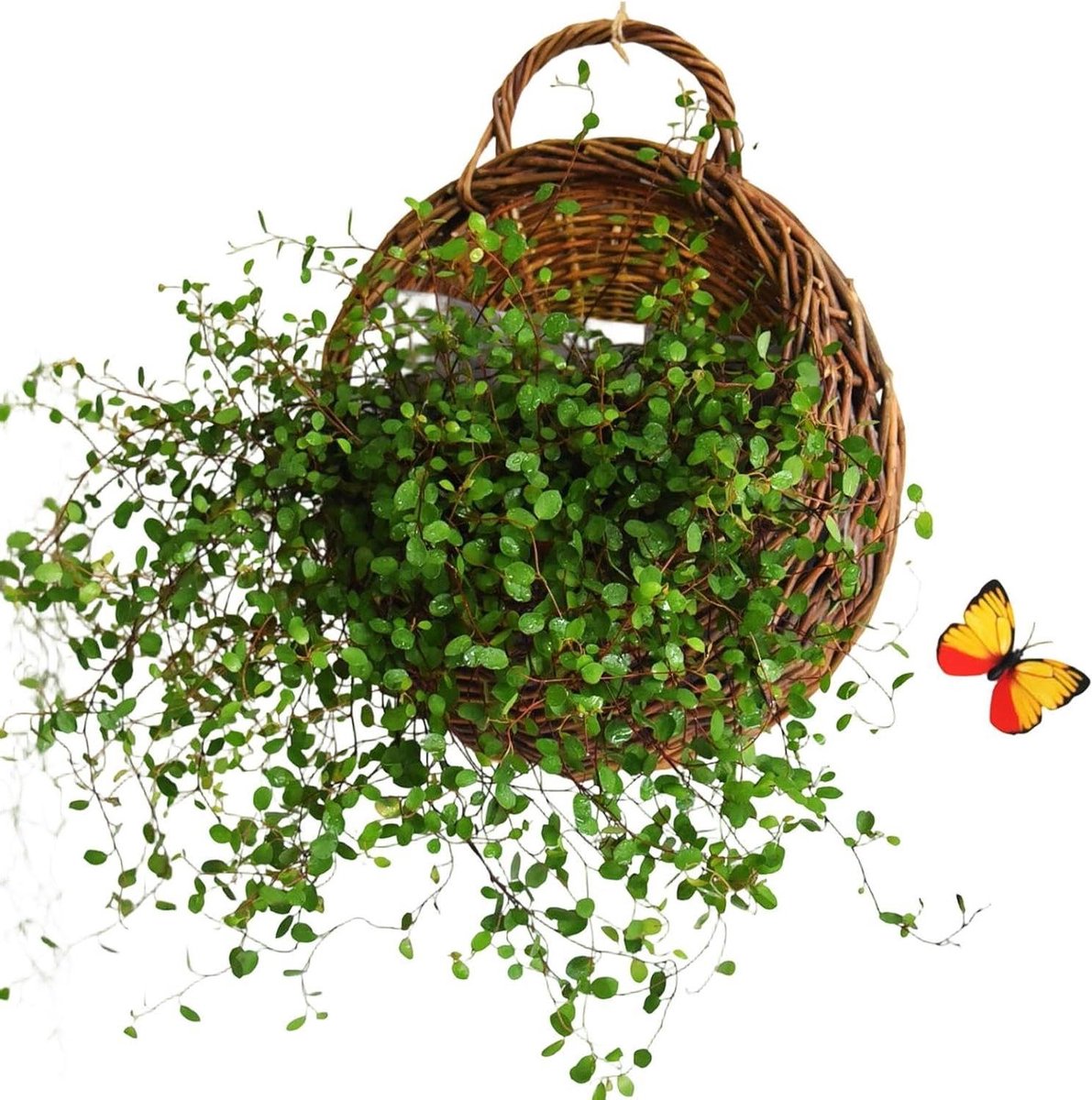 Rotan Wandmanden - Gevlochten Manden - Planten Decoratie - Met Uitneembare Voering - 28 x 12 x 28 cm