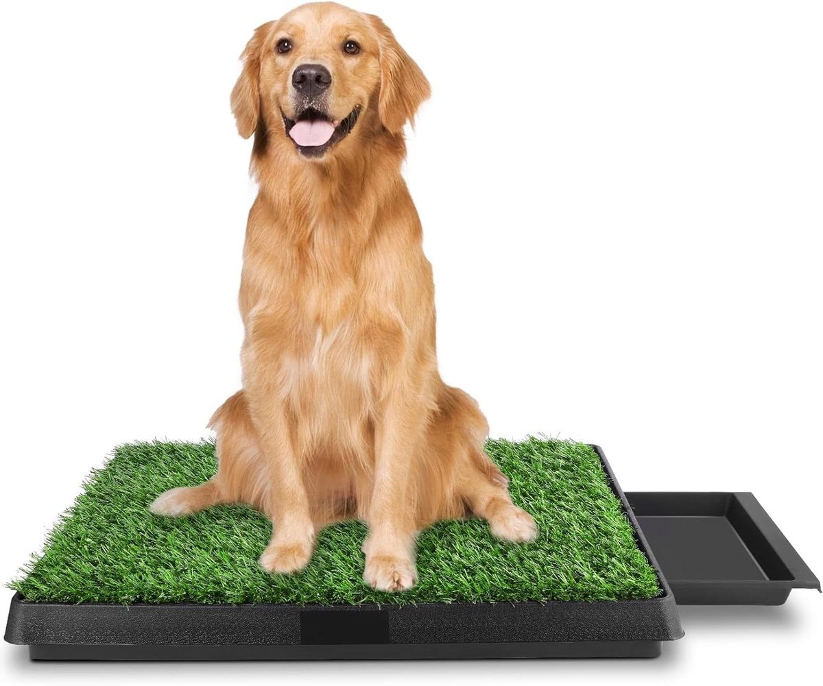 Hondentoilet - Puppytoilet Trainingsmat - Zindelijkheidstraining Huisdier - Wasbaar Gazon Design - 63 x 50 cm - Groen