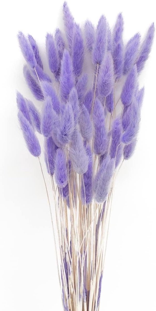 Gedroogd Pampasgras - Decoratieve Bloemen - Boho Interieur - Natuurlijk Luchtgedroogd - 50 Stuks - Lichtpaars