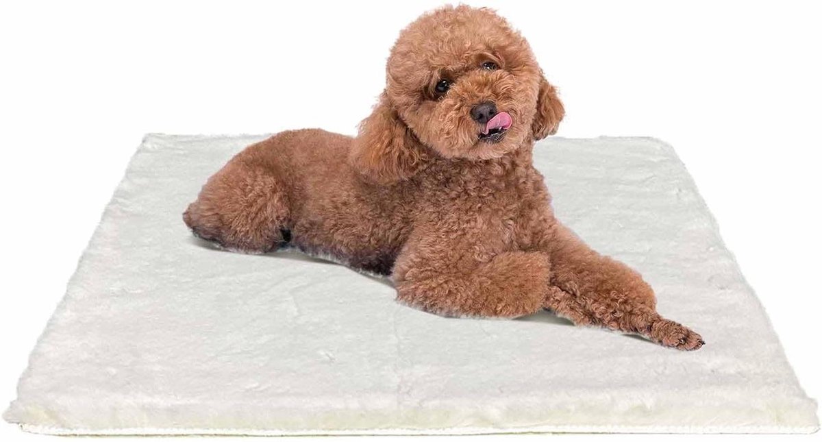 Comfortabel Hondenkussen voor Kleine Hond - 61x45 cm - Wasbaar en Antislip
