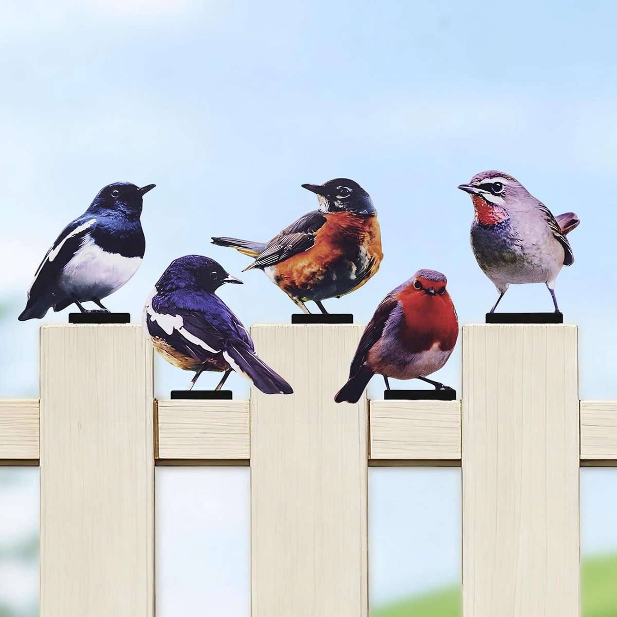 Tuindecoratie Voor Buiten, Beschilderde Vogels, Lente, Kleur
