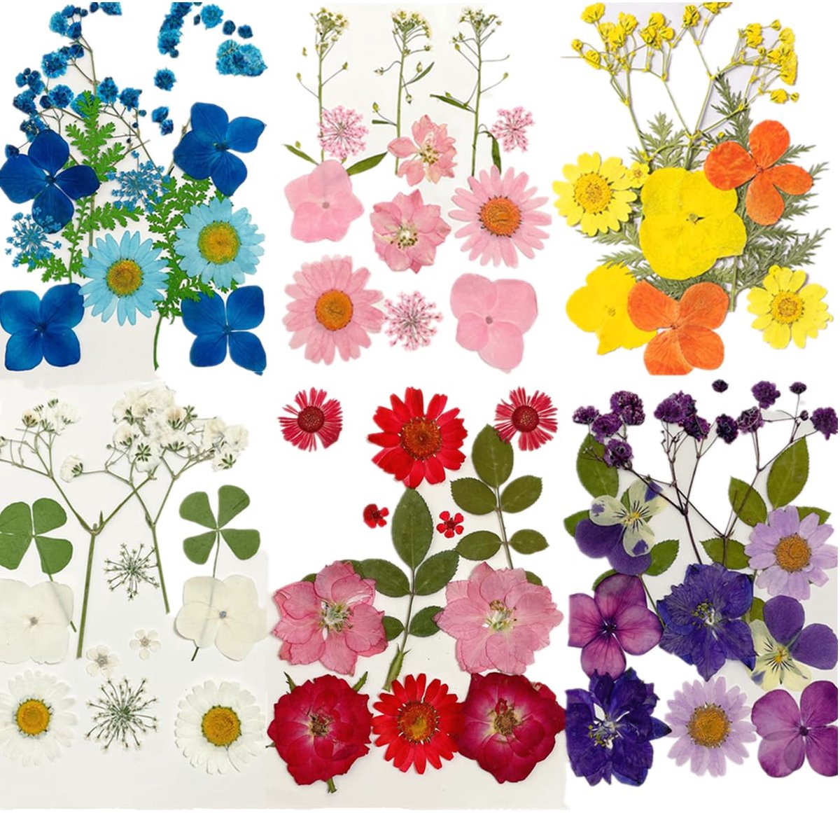 bloemen voor hars, 72 stuks, gedroogde geperste bloemen, gemengde geperste natuurlijke gedroogde bloemen om te knutselen, kaarsen, sieraden, hars, nagels, hangers, kunstdecoratie, bloemen