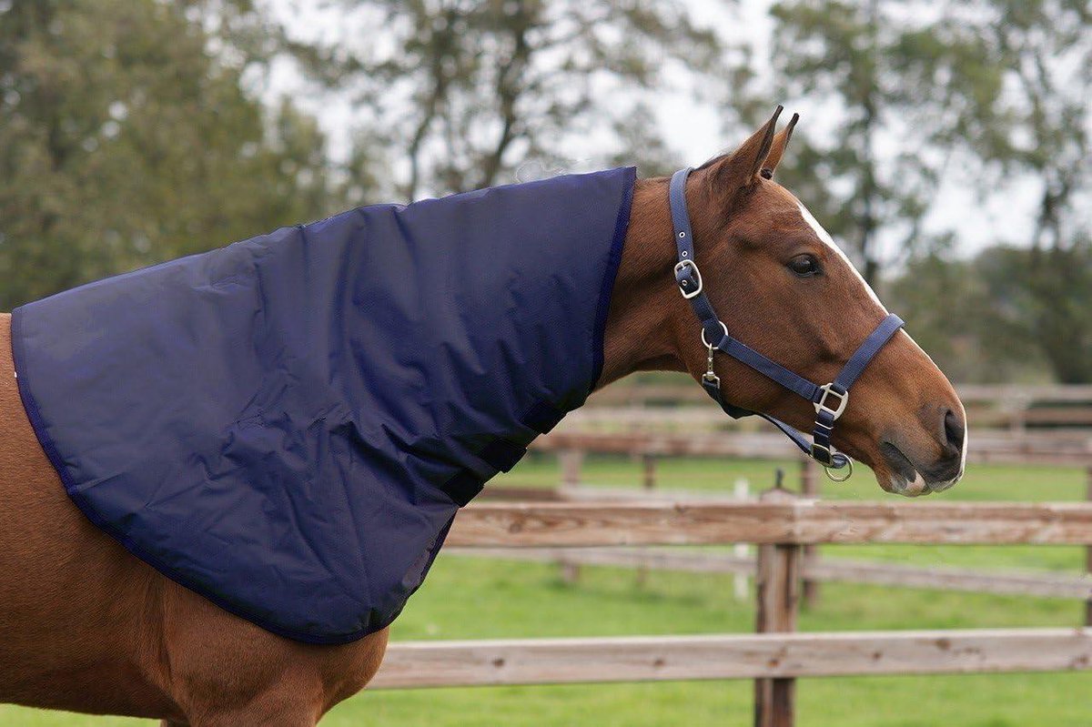 Paardendeken Halsdeel - Paardenhalsstuk Deken - Paard Beschermen - Waterdicht Ademend - 200 g Vulling - Blauw