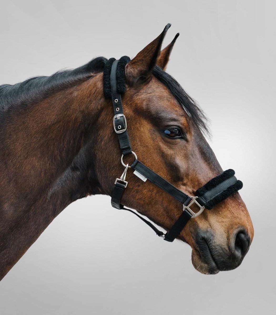 Hoofdstel Paard - Paardenhalster - Paardentraining - Synthetische Vacht - Maat MSH - Zwart