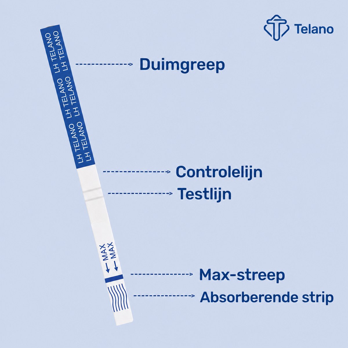 Telano Ovulatietest 60 testen Dipstick Gevoelig - 1x Zwangerschapstest strip en Ovulatiekalender – foto 2
