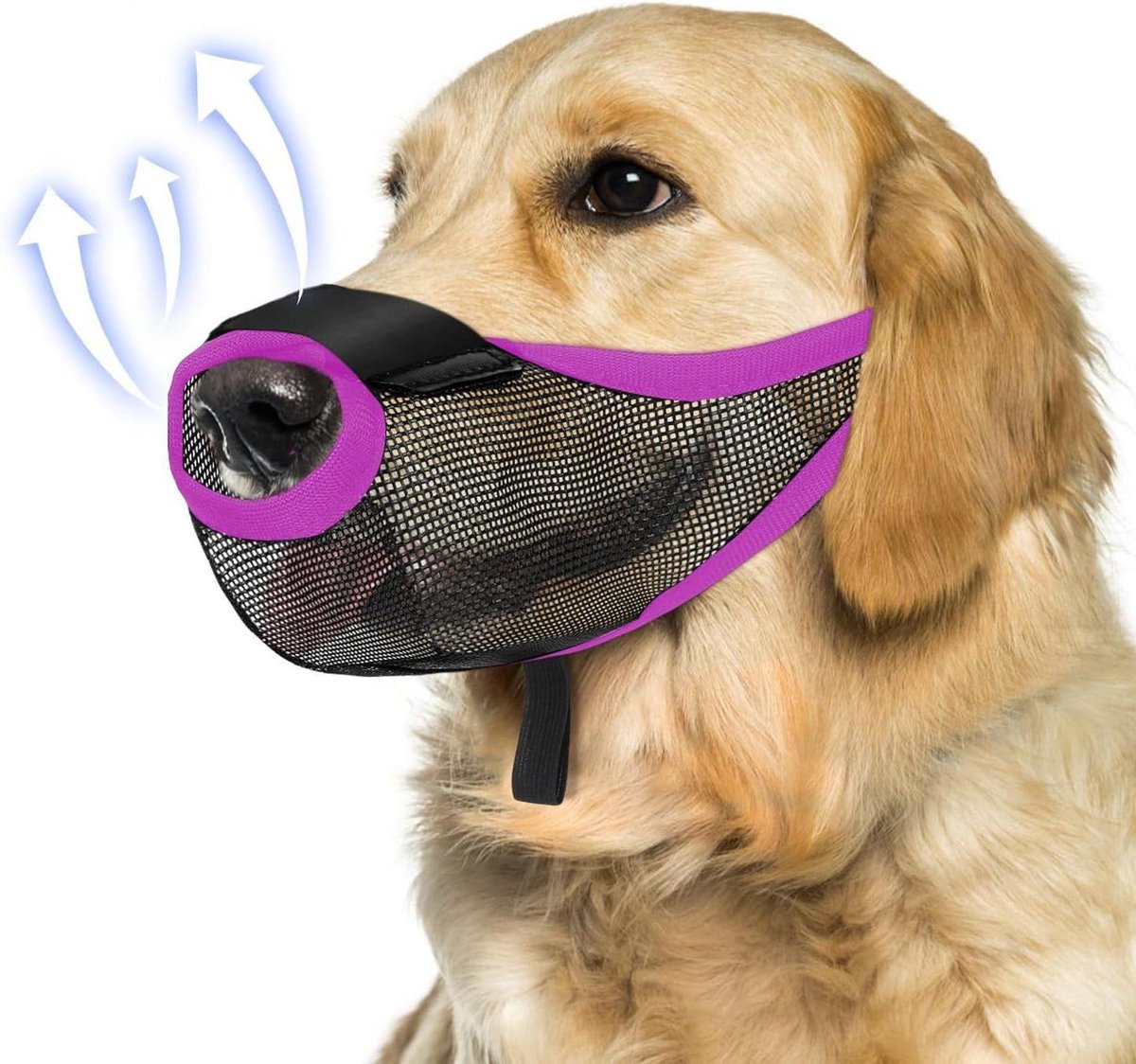 Honden Muilkorf - Veiligheid Mondstuk - Voorkomt Bijten - Ademend Mesh - Maat S - Paars
