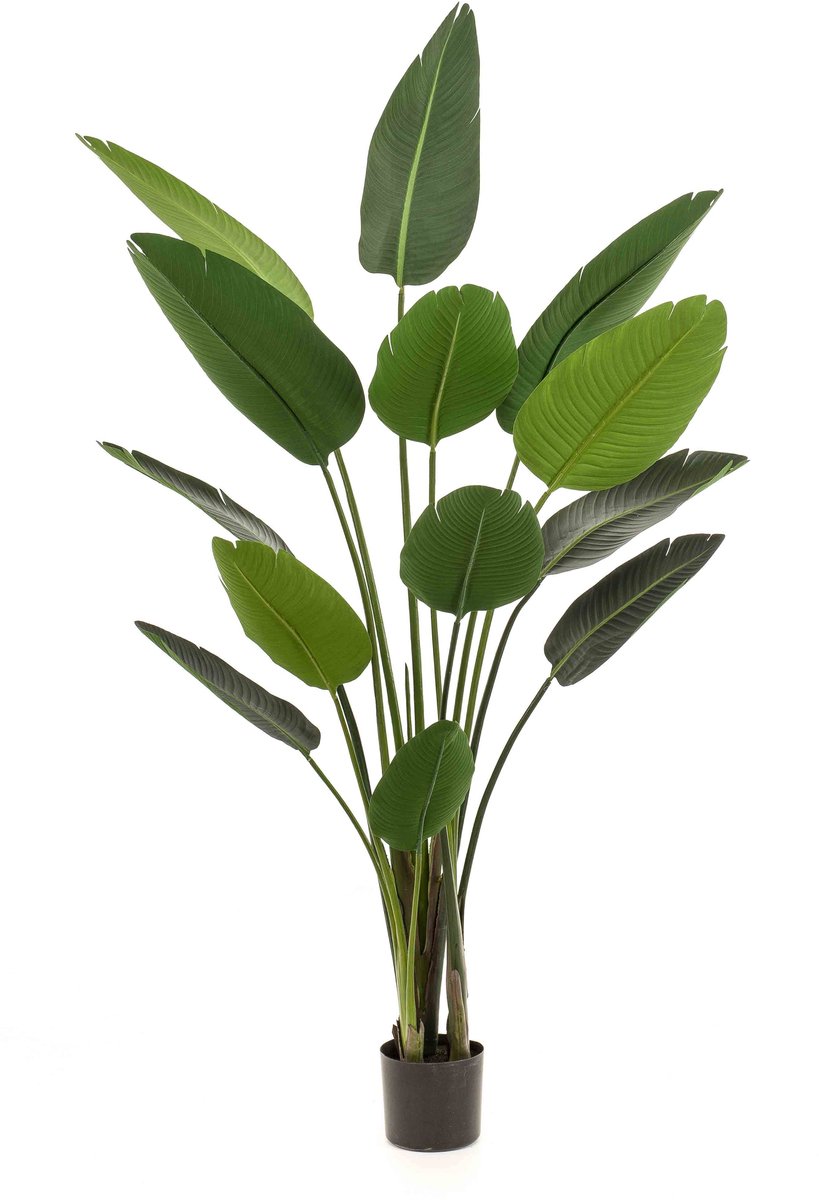 Emerald Kunstplant Strelitzia 190cm - Kunstplant voor binnen Groen