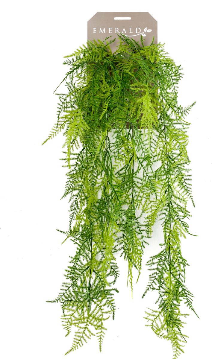 Emerald Kunst Hangplant Asparagus Plumosus 80cm - Kunstplant voor binnen Groen