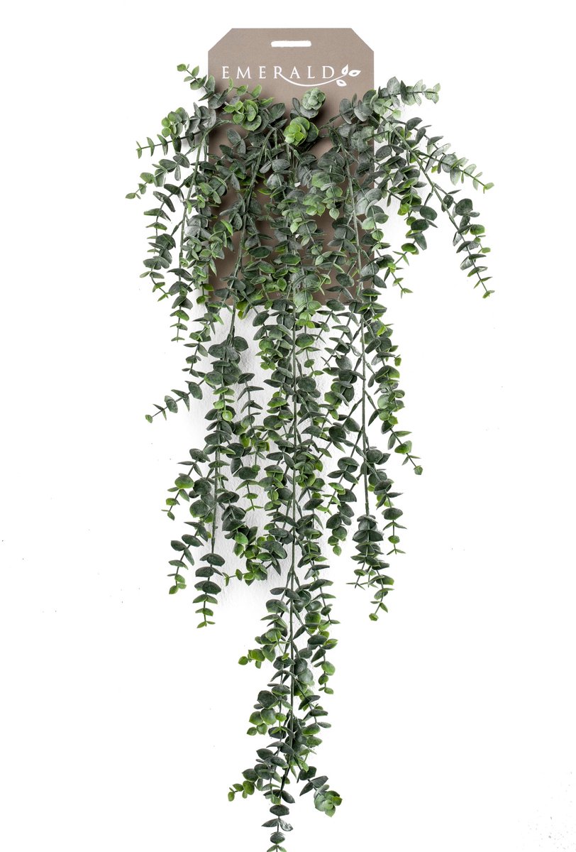 Emerald Kunst Hangplant Eucalyptus 75cm - Kunstplant voor binnen Groen