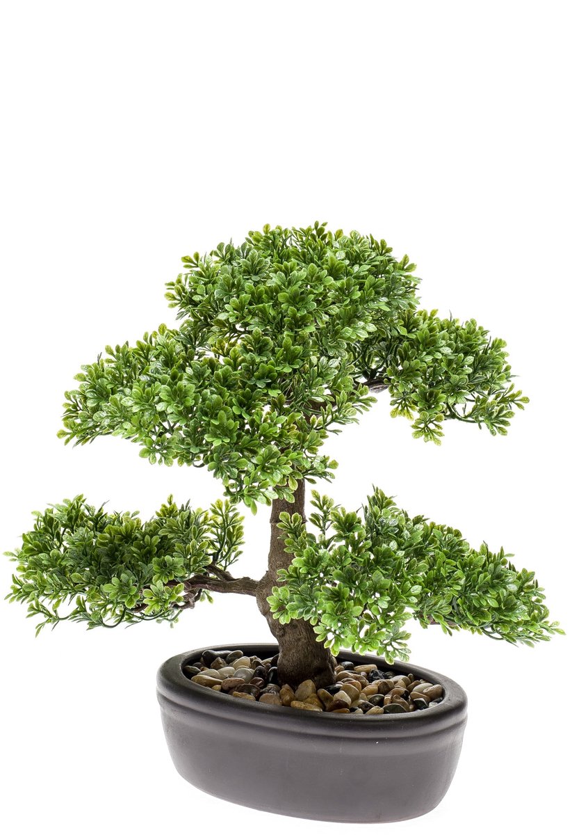 Emerald Kunstplant Bonsai Ficus mini 32cm - Kunstplant voor binnen Groen