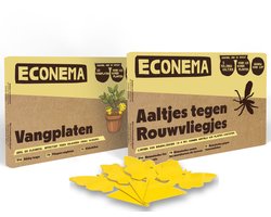 Voordeelpakket - Aaltjes tegen Rouwvliegjes 10m2 + 10 vangplakkers - bestrijd de larven en de vliegjes - Bestrijdingspakket tegen rouwvliegjes